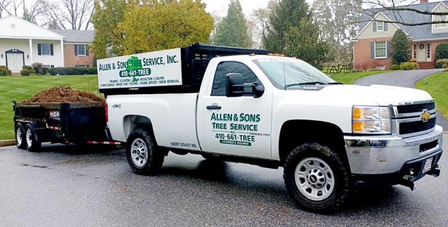 Allen & Sons Tree Service Small Family Business Spotlight